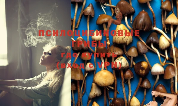 не бодяженный Магадан