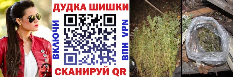 Бошки марихуана THC 21%  цена   Железногорск 